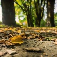 Researchers Discover Hidden “Rock Moisture” Layer